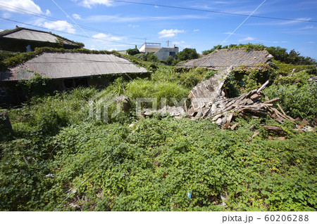 肺が 廃屋 済州島 60206288