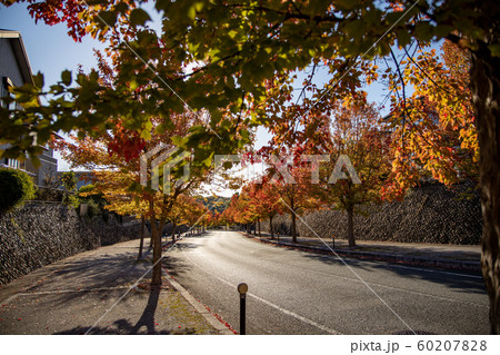 宇部市あすとぴあ 60207828