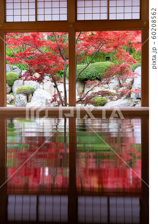 宝徳寺の秋 60208562