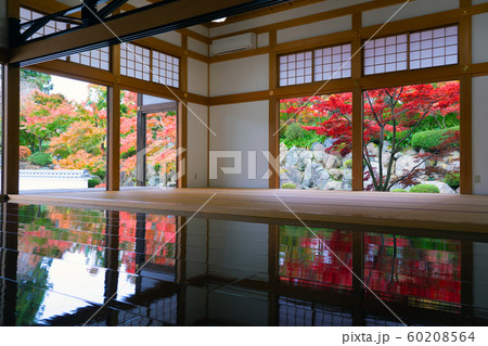 宝徳寺の秋 60208564