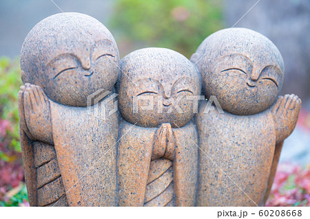 宝徳寺の秋 宝徳寺の秋 60208668