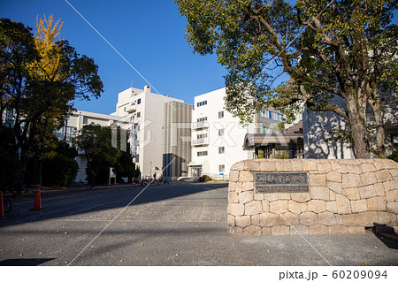 山口大学医学部 60209094