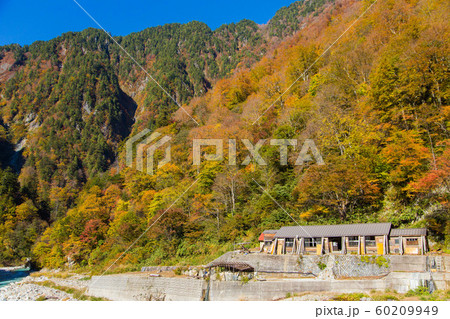 【富山県黒部市】黒部峡谷の紅葉 60209949