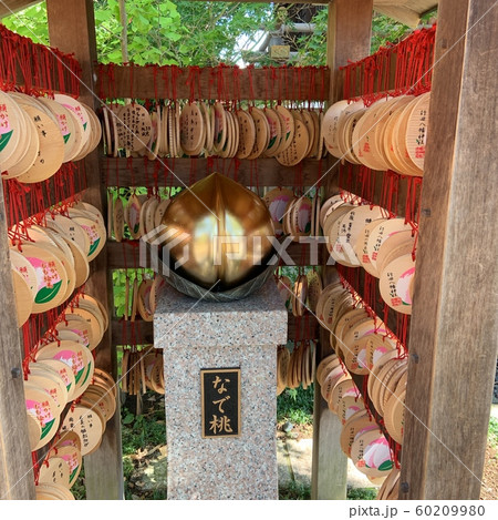 行田八幡神社　なで桃 60209980