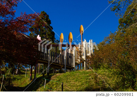 昭和の森 昭和の森 60209981