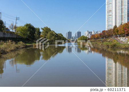 自然 風景 韓国 60211371