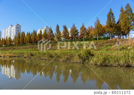 自然 風景 韓国 60211372