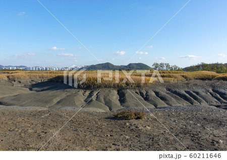 自然 風景 韓国 60211646