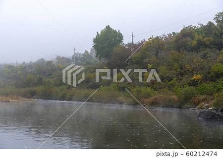 寧越郡 東江 秋 60212474