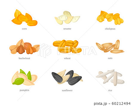 Cereal Grains Flat Vector Illustrations Setのイラスト素材