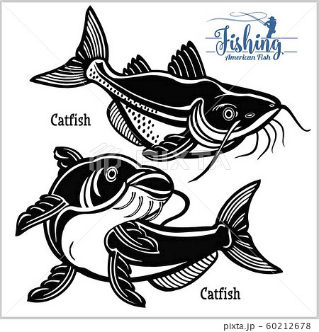 Catfish - vector set fishing on usa isolated on-插圖素材