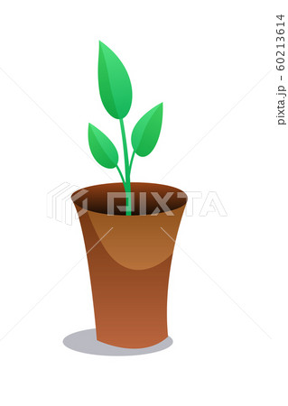 Home green plant flat vector illustration. Indoor flower in brown pot Home green plant flat vector illustration. Indoor flower in brown pot 60213614