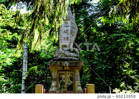 仁木町仁木神社境内の忠魂碑 仁木町仁木神社境内の忠魂碑 60213950
