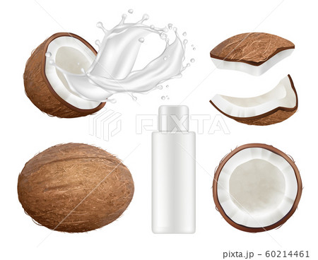 Coconut collection. Fresh tropical coco fruit with milk vector nature coconuts realistic illustrations 60214461