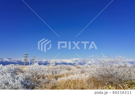 長野_晩秋の高ボッチ高原 長野_晩秋の高ボッチ高原 60216311