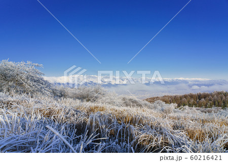 長野_晩秋の高ボッチ高原 60216421