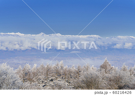 長野_晩秋の高ボッチ高原 60216426