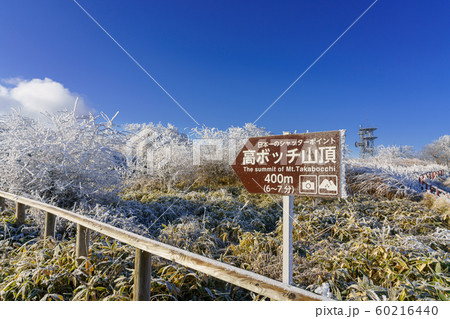 長野_高ボッチ高原の遊歩道 長野_高ボッチ高原の遊歩道 60216440