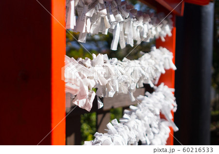 神社のおみくじ 60216533