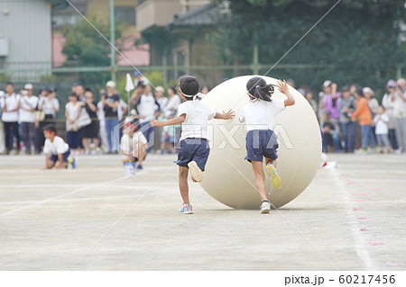 小学校の運動会 大玉転がしの写真素材