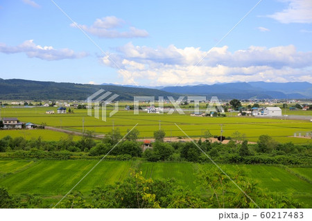 比布大雪展望広場からみる風景 60217483
