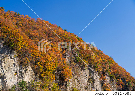 山梨_北杜市の紅葉イメージ 山梨_北杜市の紅葉イメージ 60217989