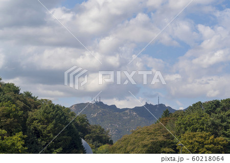 風景 自然 韓国 60218064