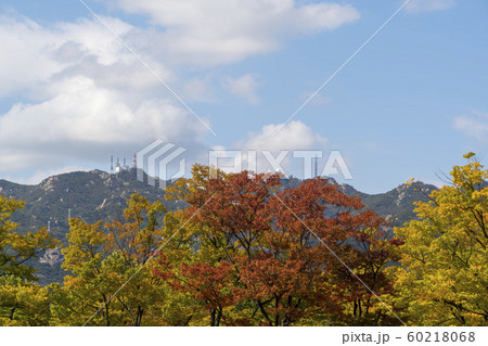 風景 自然 韓国 60218068