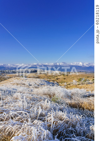 長野_高ボッチ高原の霧氷 長野_高ボッチ高原の霧氷 60218119