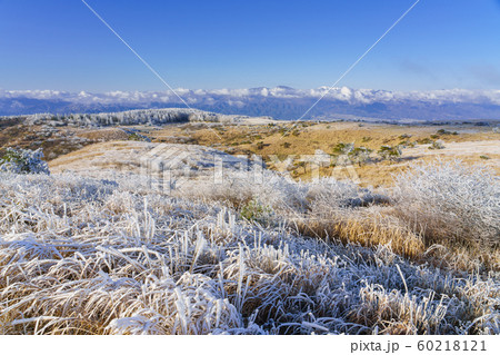 長野_高ボッチ高原の霧氷 60218121