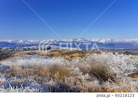長野_高ボッチ高原の霧氷 60218123