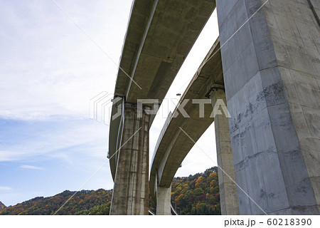 高架橋　高速道路　橋脚　インフラ　橋梁 60218390