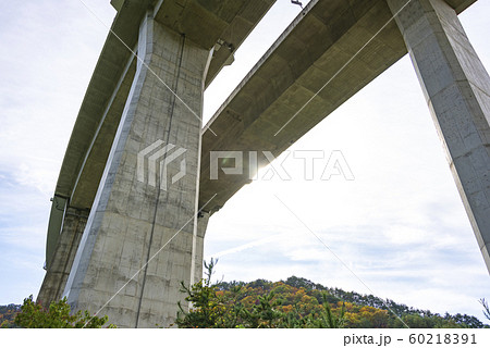 高架橋　高速道路　橋脚　インフラ　橋梁 60218391