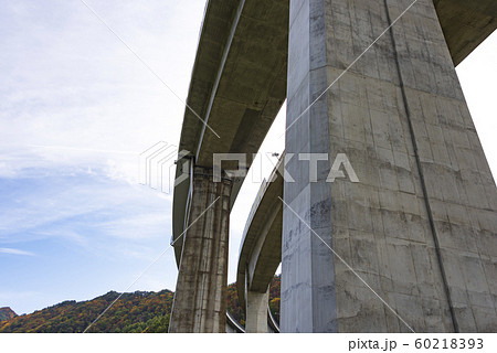 高架橋　高速道路　橋脚　インフラ　橋梁 60218393