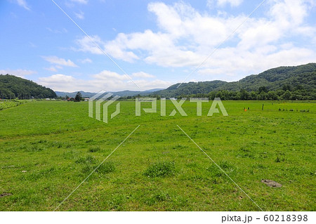 北海道の牧場 北海道の牧場 60218398