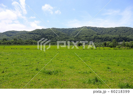 北海道の牧場 60218399