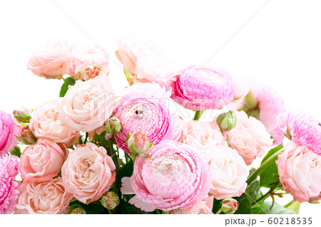 fresh rose flowers 60218535