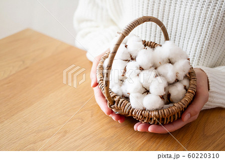 コットン コットン 60220310