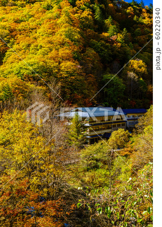 秋の白骨温泉　【長野県】 60220340