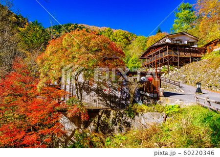 秋の白骨温泉　【長野県】 60220346