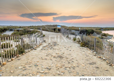 Road through lagoons of Camarque 60222366