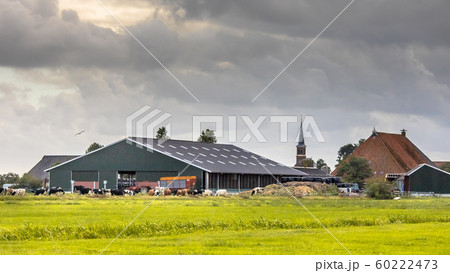 Dairy farm barn on dutch countryside Dairy farm barn on dutch countryside 60222473