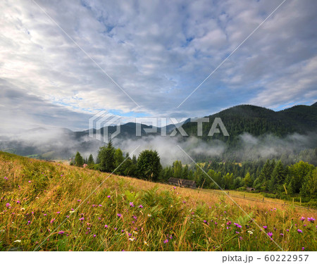 Amazing mountain landscape with fog Amazing mountain landscape with fog 60222957