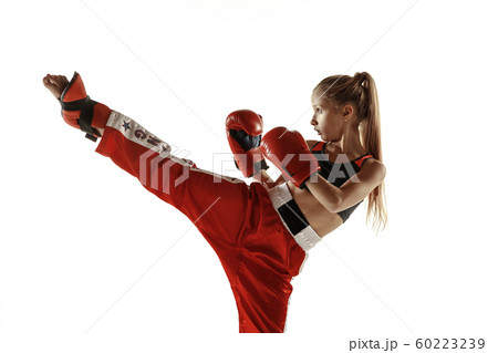 Young female kickboxing fighter training isolated on white background Young female kickboxing fighter training isolated on white background 60223239
