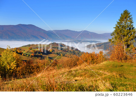Beautiful autumn mountain landscape Beautiful autumn mountain landscape 60223646