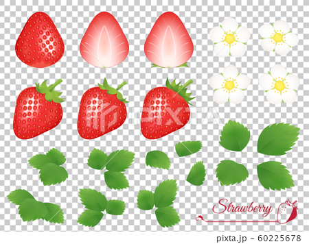 苺のイラスト 花 葉 セットのイラスト素材