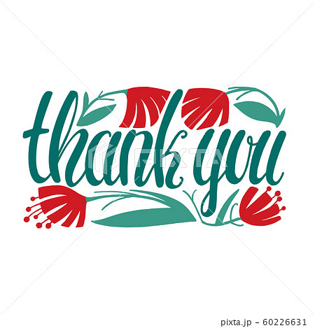Isolated Thank You Card Hand Drawn Lettering Isolated Thank You Card Hand Drawn Lettering 60226631