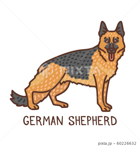 Isolated German Shepherd in Hand Drawn Doodle Style Isolated German Shepherd in Hand Drawn Doodle Style 60226632
