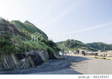 城ヶ島(初夏) 城ヶ島(初夏) 60228507