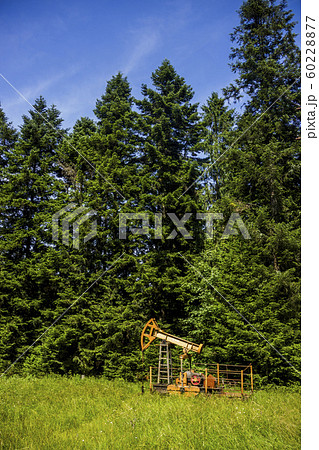 lonely oil pump lonely oil pump 60228877